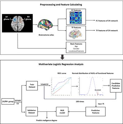 Hemisphere-Specific Functional Remodeling and Its Relevance to Tumor Malignancy of Cerebral Glioma Based on Resting-State Functional Network Analysis